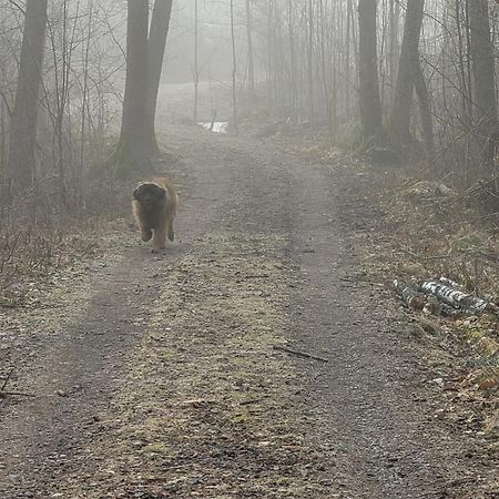 Tofvehults Boende Skaftet Экстерьер фото